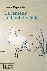 Photo_La lenteur du bout de l'aile